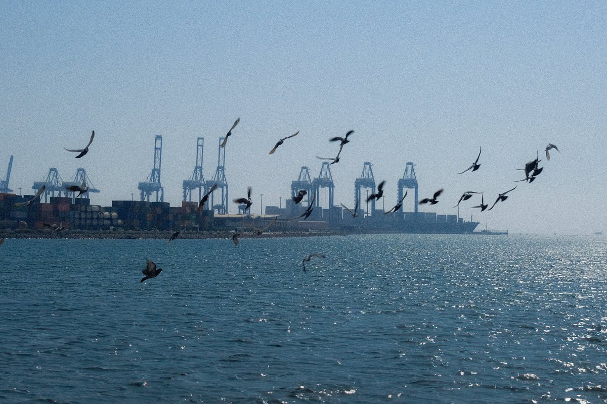 faisalarchive's tweet image. حتى لقاء آخر يا جدة