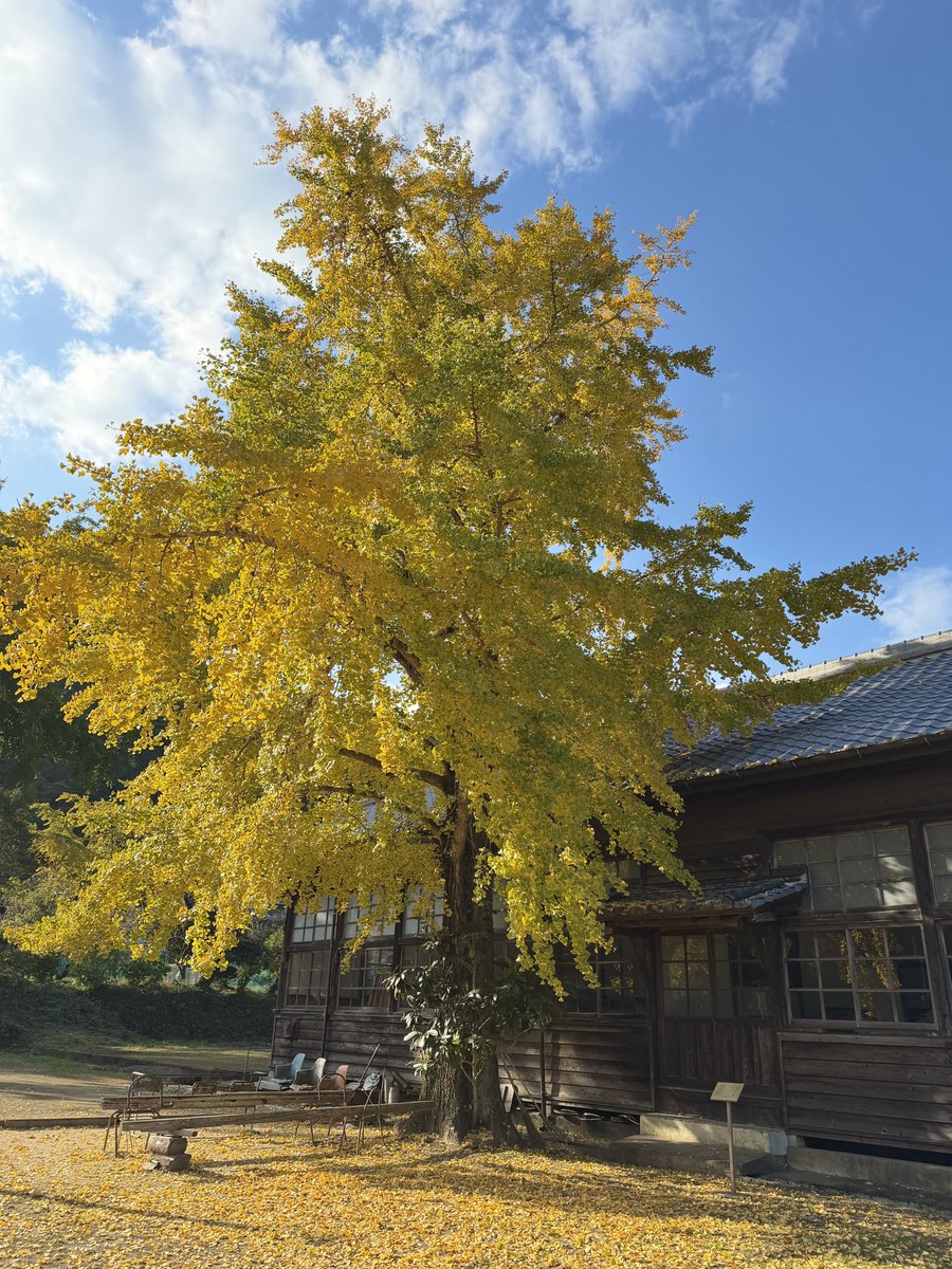 ureshinohoho_n's tweet image. #旧美野分教場 
塩田町にあります☺️
今日11月20日撮影📸

見頃です🤗

maps.app.goo.gl/zvRTgcHh5ANz2Y…

 #うれしの  #嬉野市
 #嬉野紅葉  #嬉野紅葉2025