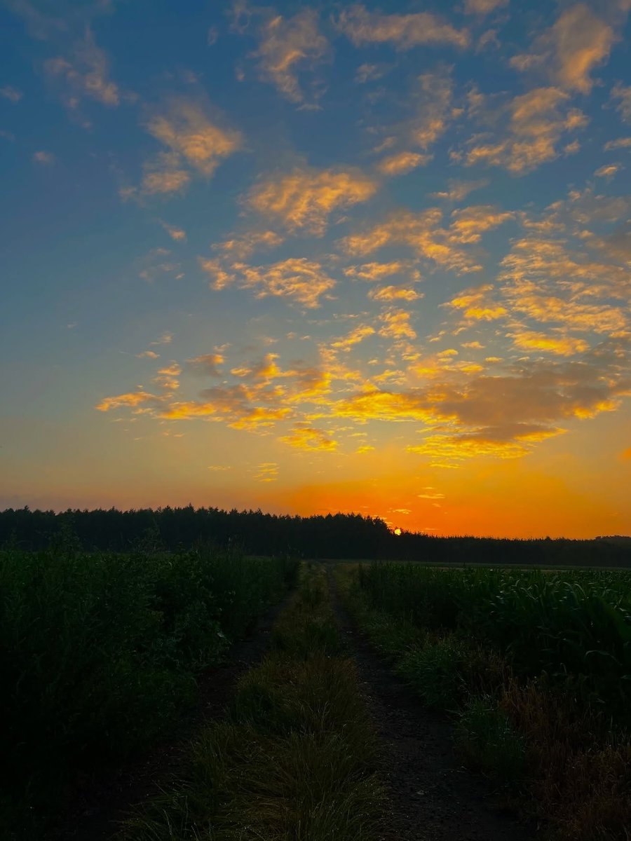 0͏0͏:0͏0͏ (@0hour0minute) on Twitter photo 