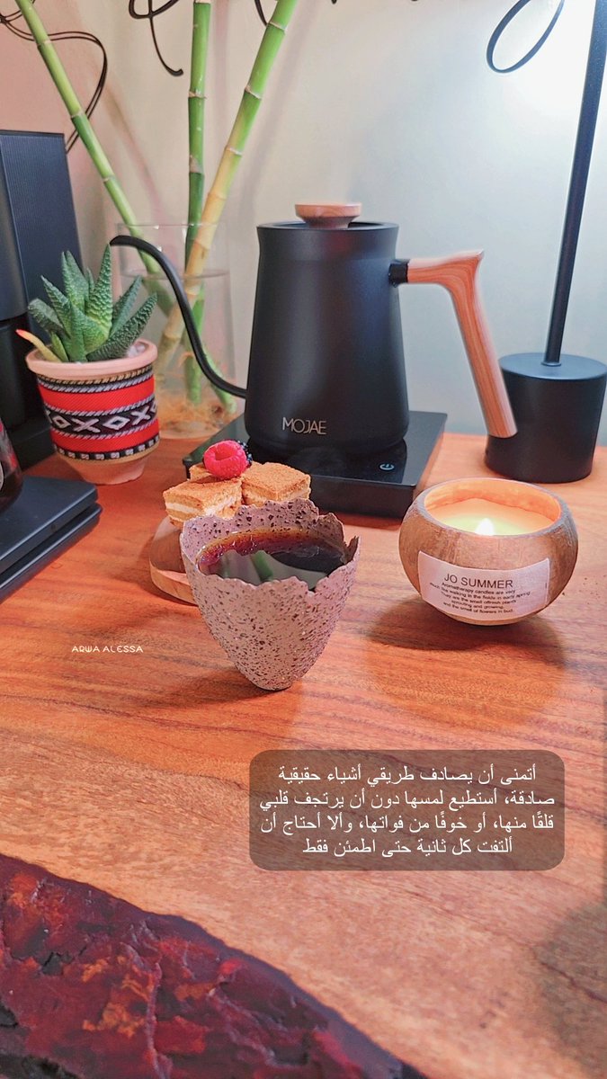 arwa tweet media