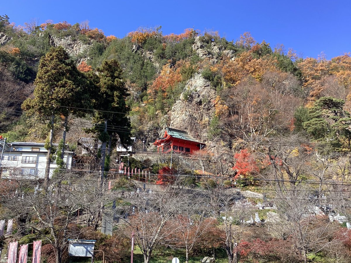 丸子の紅葉情報🍁

いつの間にか「色あせ〜落葉」を迎えました…😢
赤や黄色の絨毯に注目するのもおすすめ！

#鹿教湯温泉 街から見えるポコっとした山を鹿教湯富士と呼んでいます。

撮影日:2025/11/20

1枚目から鹿教湯富士、五台橋、安良居神社、岩谷堂の様子です。

#紅葉 #秋 #上田 #上田市 #丸子