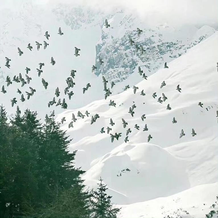 Wardcynthipa's tweet image. 沧州 🫄