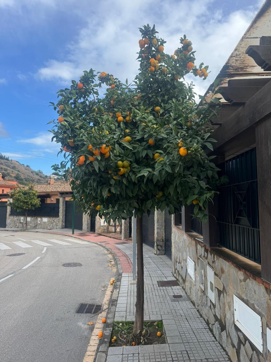 OxonRemovalMan's tweet photo. Just a quick update — we’re currently out in Spain doing a removal, and we’re definitely enjoying the warm weather while we’re here!  

📞 +44 1295 368198
📱 WhatsApp: +44 7861 930529
🌍 https://t.co/Zy4vQyIFLR
📧 info@gentlevanremovals.co.uk https://t.co/NcrR9JcKZN