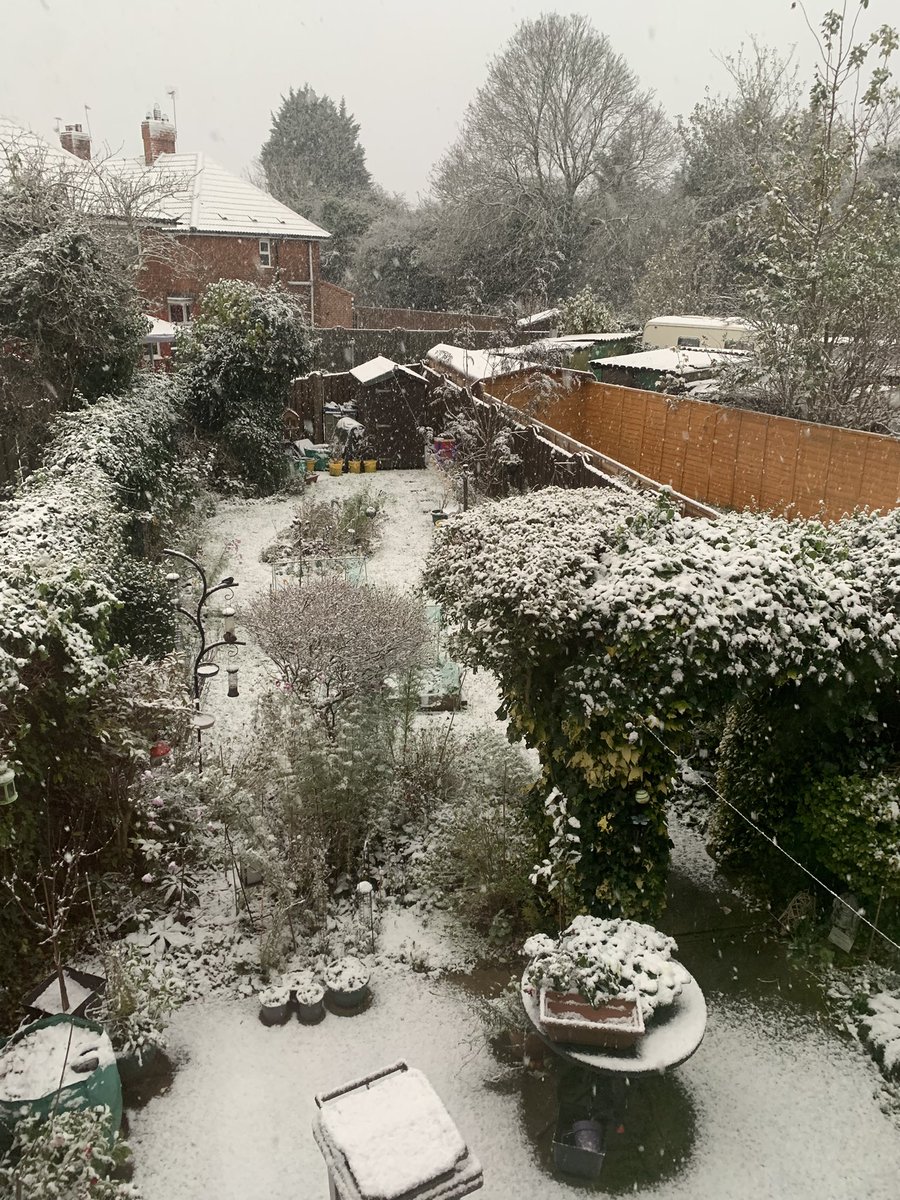 Lee Marie tweet media