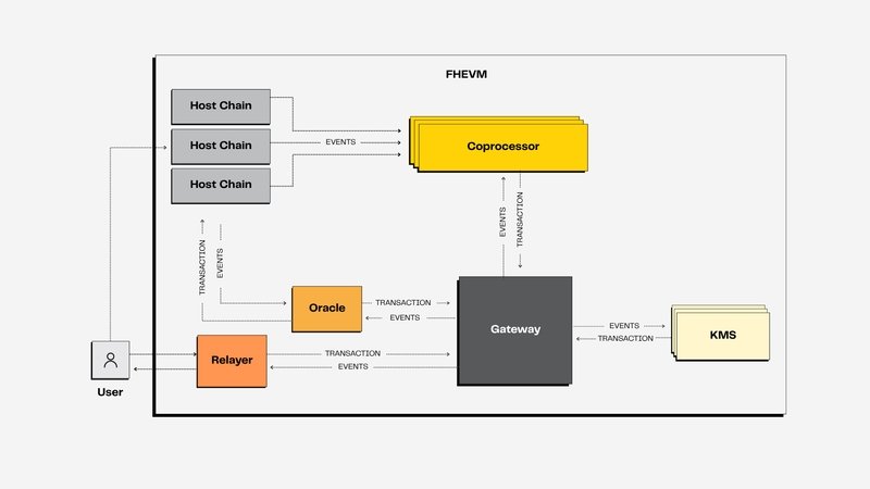 notfranz_kafka's tweet image. On-chain privacy has pretty much always come across as some kind of myth to most people. You end up exposing your data just so smart contracts can actually make use of it. Or you decide to keep everything private and then you miss out on all the benefits blockchain brings to the…