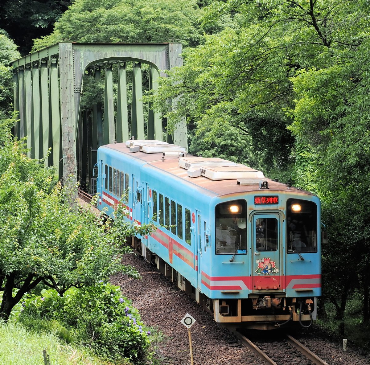 「新駅弁ひとり旅」63話載りました！宜しくお願いします🙏菜々と大介の旅は「奥の細道」結びの地「大垣」へ。そして樽見鉄道へと駅弁だらけの1日🍱・・・ #新駅弁ひとり旅 #漫画アクション #櫻井寛 #鉄印 ＃愛知県 #樽見鉄道