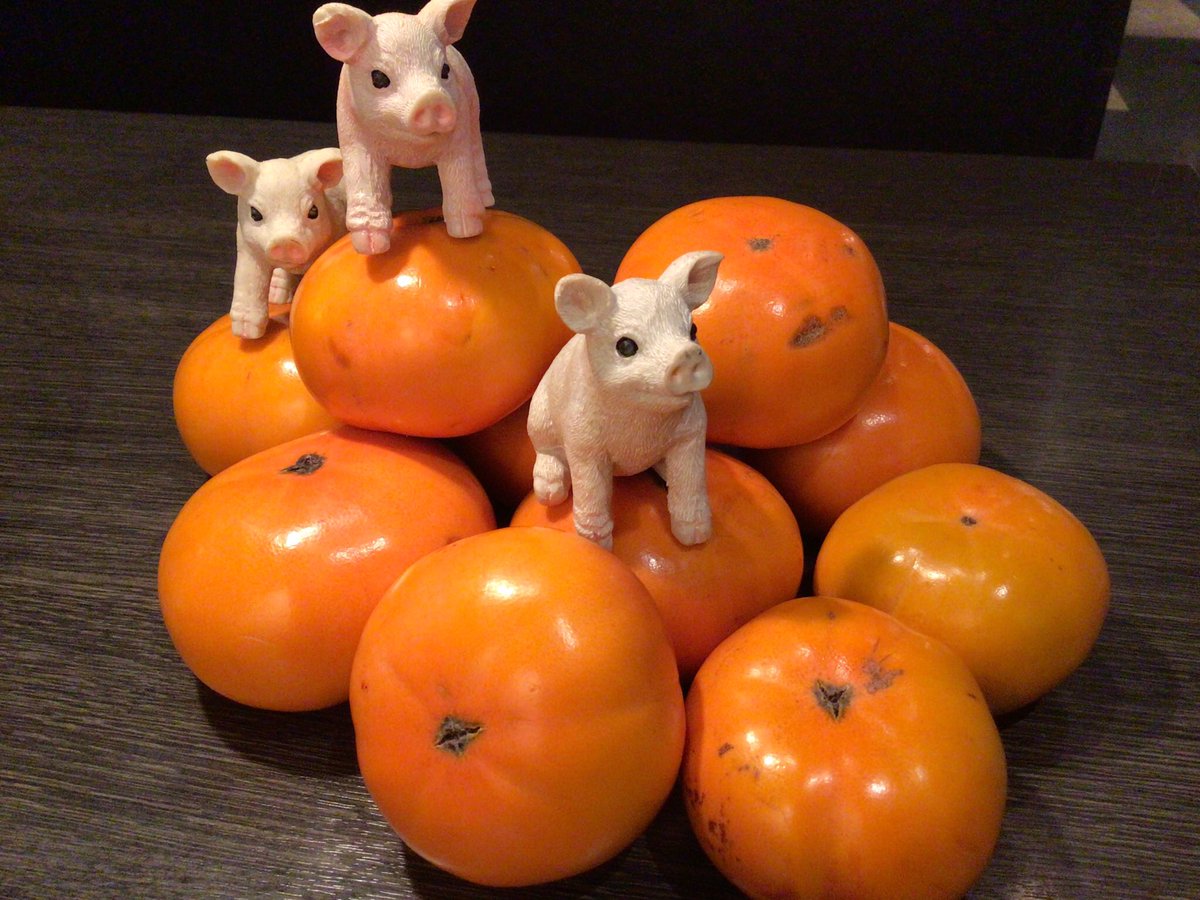 ぶたさま(代々木店) (@butasama1210) / Posts / X