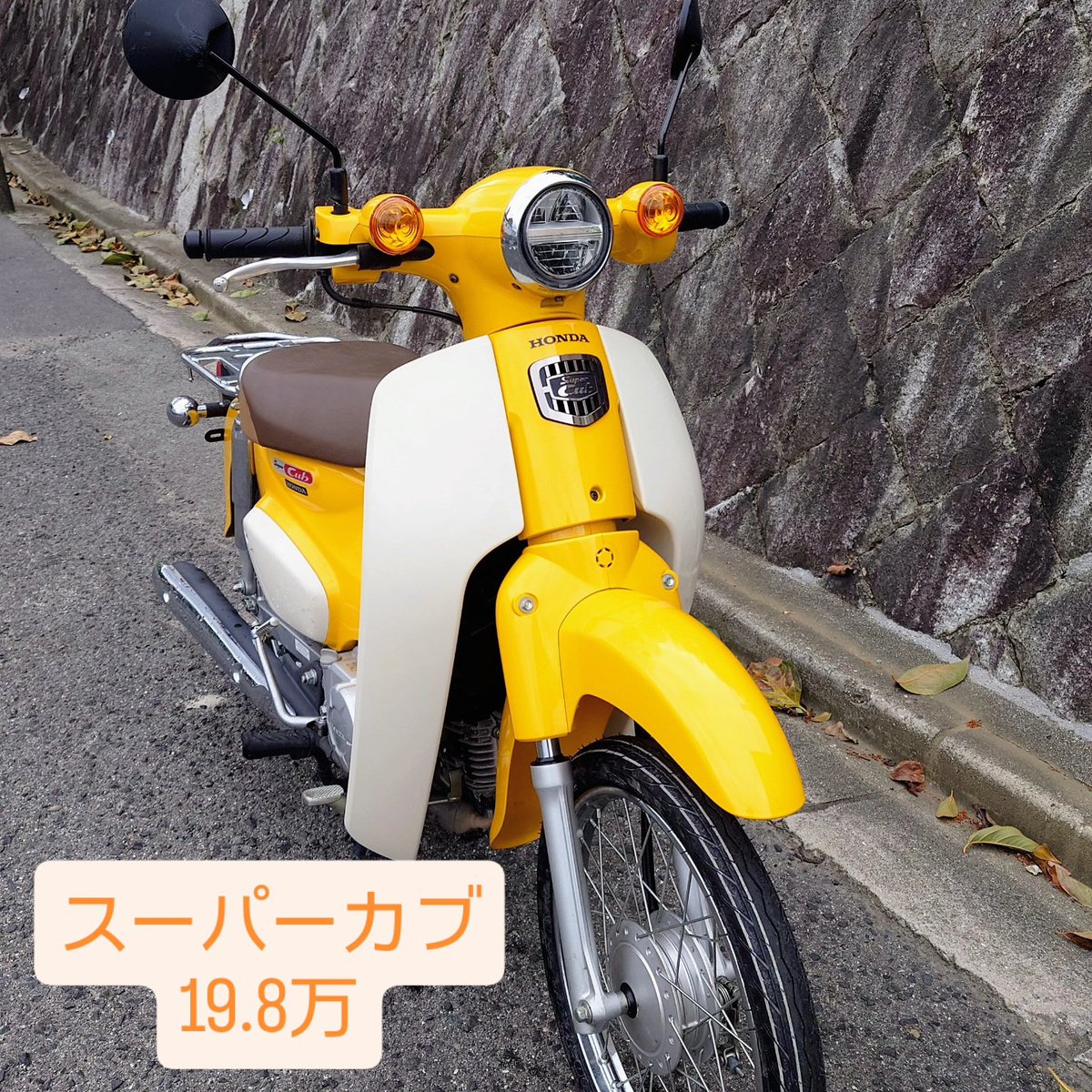 晃(あきら)@飛び出し注意！ (@funky_tetora) / Posts / X