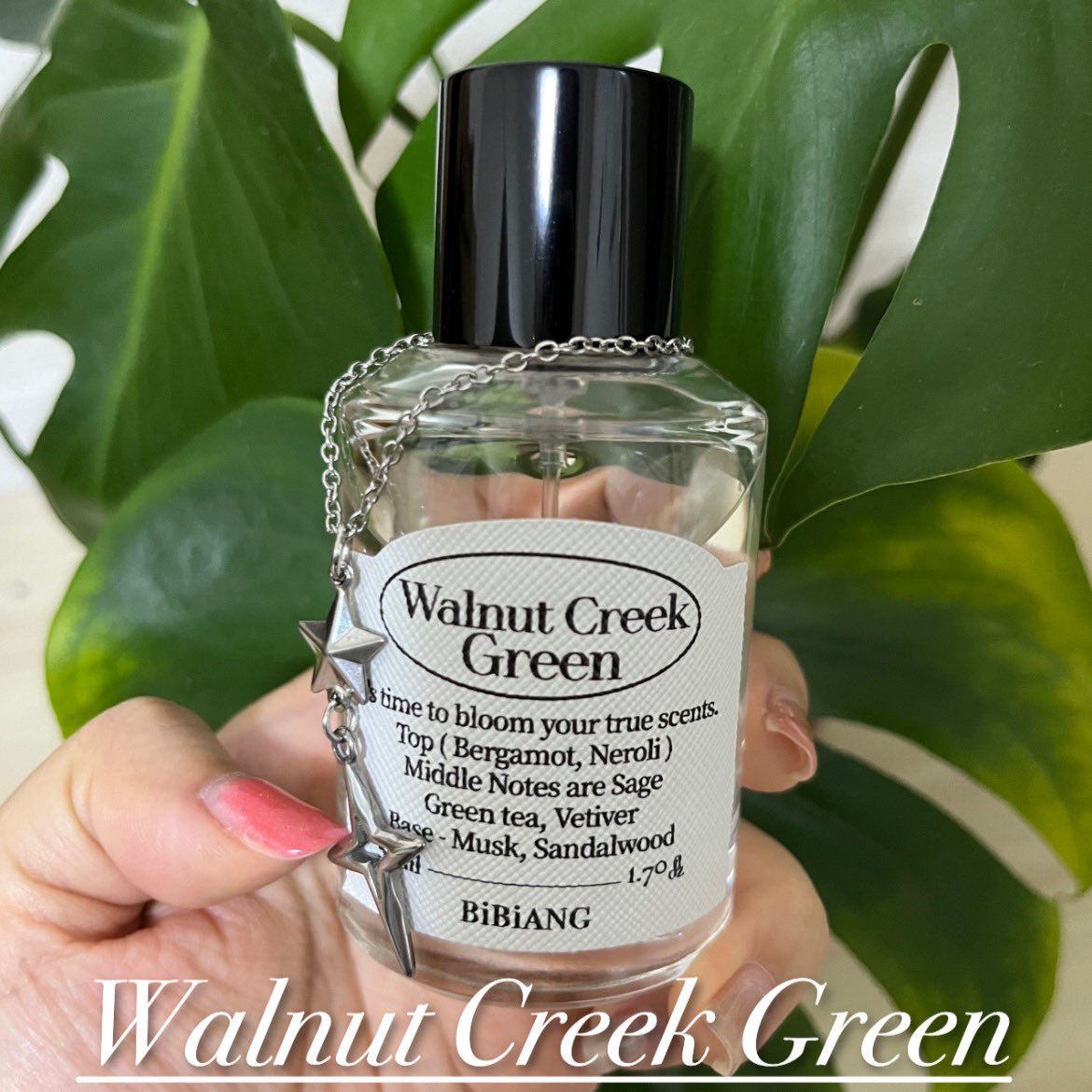 森とソープの間”みたいな香り🌿🫧 すっきり透明で、どんな季節にも合う