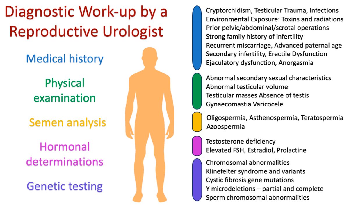 MdpiMedicina's tweet image. #highlycitedpaper #mdpimedicina 

📚 From Diagnosis to Treatment: Comprehensive Care by #Reproductive hashtag#Urologists in Assisted Reproductive Technology
✍ by Aris Kaltsas et al.  
👉 Views: 4871👀 
👉 Citations: 17 📈 

🔗mdpi.com/1648-9144/59/1…
 #ART #maleinfertility