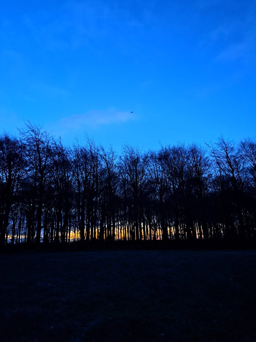 Countryside Learning tweet media