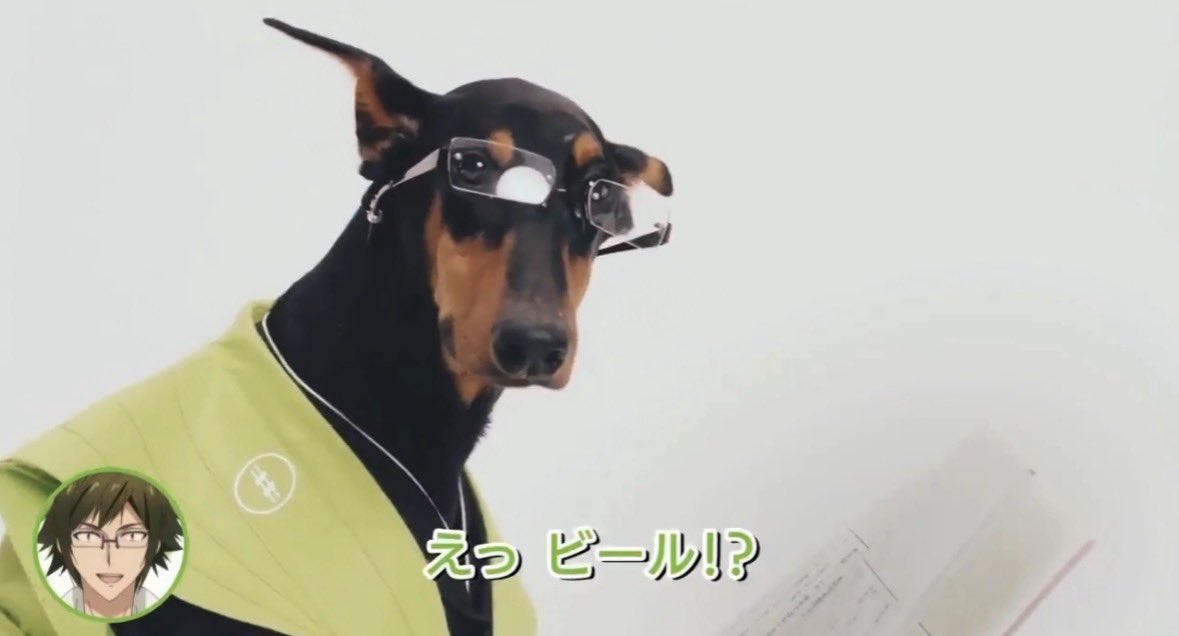 아ㅋㄱㅋㄱㅋㄷㄷㅋ 진짜 어이없어ㅠㅠ안경…