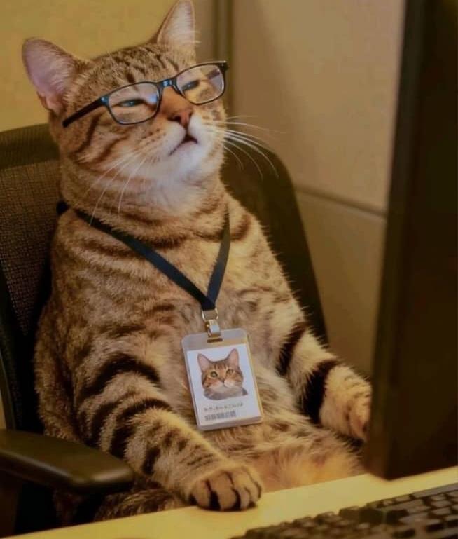 Valiman0811's tweet image. GM ☀️  
Take a moment, touch grass 🌱, then dive into the memeverse with @MemeMarketFun 🌠  
Because fresh minds make the best plays  and $MFUN is just getting started! 💥