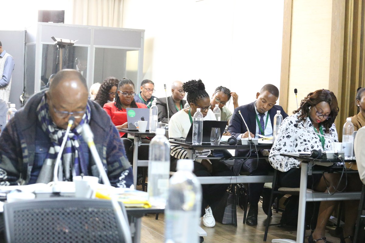 acerwc's tweet image. At the margin of #ACERWC46, #IHRDA is hosting a conference on integrating children’s rights into National Action Plans on Business and Human Rights across Africa. 

The event will also feature the launch of its new report, Building Tomorrow.

Follow @IHRDAfrica for more updates.