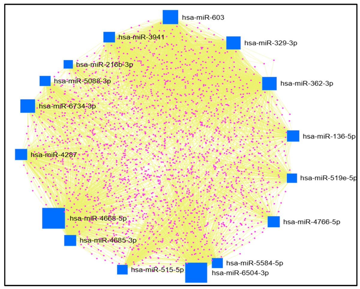 Non_Coding_RNA's tweet image. 🌟Presenting Our Article Paper🌟

&quot;In Silico Prioritization of STAT1 3′ UTR SNPs Identifies rs190542524 as a  #miRNA-Linked Variant with Potential Oncogenic Impact&quot; from Ebtihal Kamal.
#ncrna #bioinformatics

Full text: mdpi.com/2311-553X/11/3…
