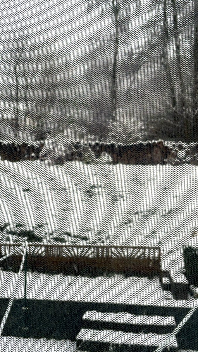 netter versuch aber der einzige schnee der mich interessiert befindet sich in der kluft der beschwörer