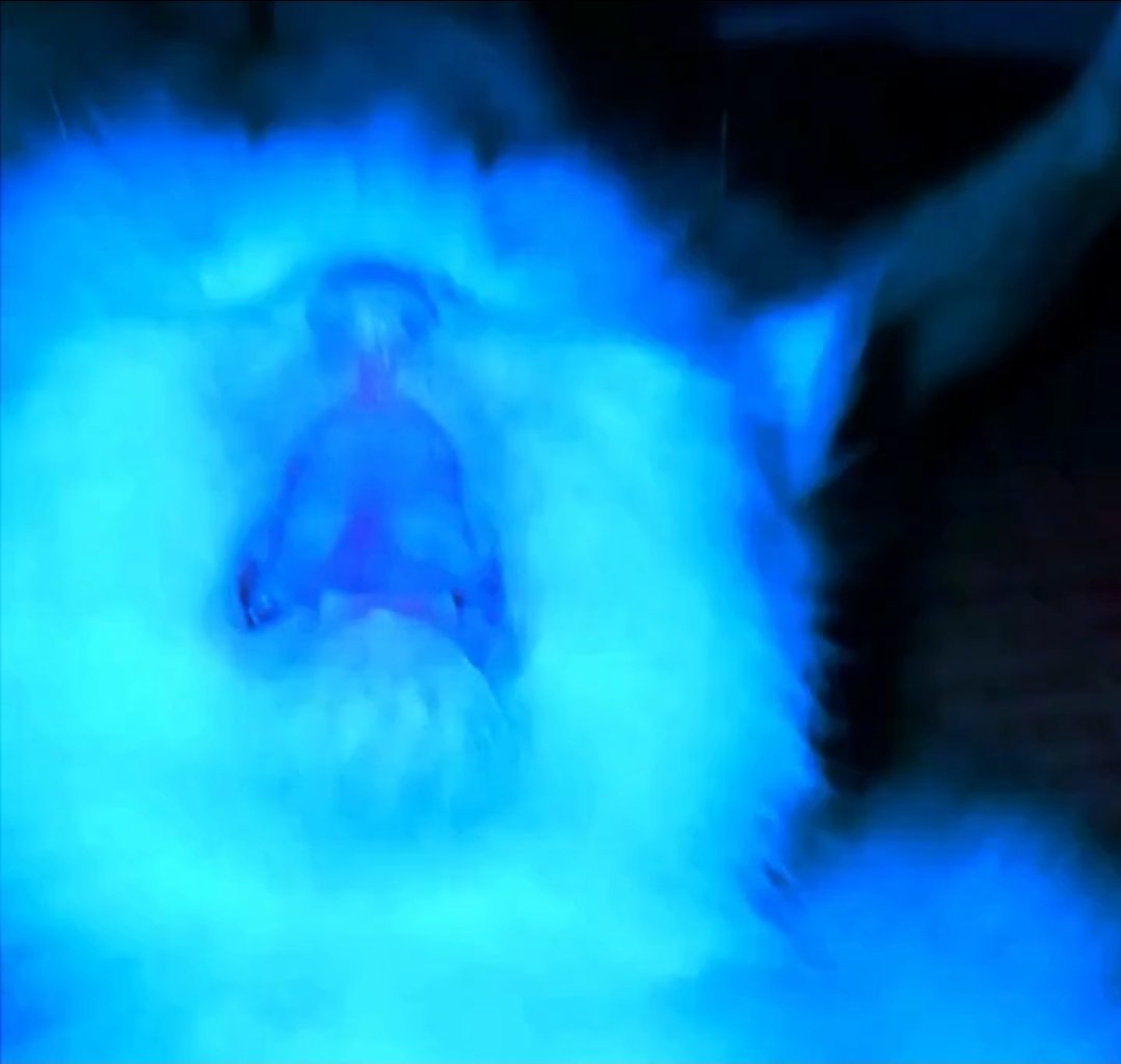 StareAtCode247's tweet image. Just woke up and opened my curtains to see pure white. This ain&apos;t going to be a warm winter.