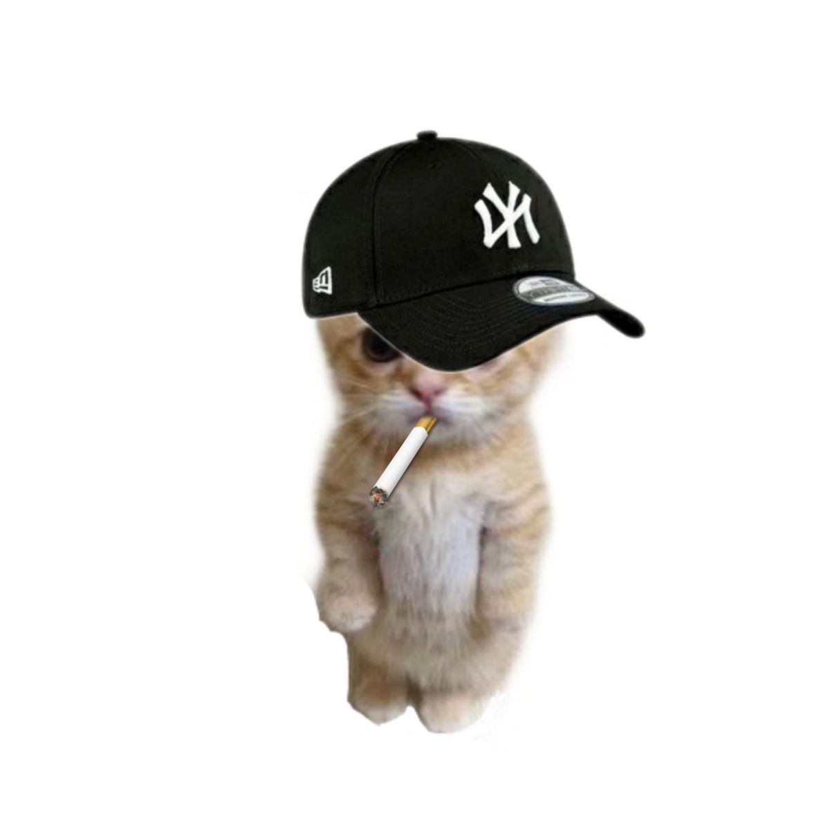 ofKathie's tweet image. ˚₊ ♡ help retweet? tysm!  ⊹ 💕🥛

ꕀ  🎀  𖦹   |   haloo akak! 🫧🚌 ada free bio dari kakak 𖠗  ꒰ @KINOYKEREN ꒱  യ   . . 🥣🐣 rulesnya ada dibawah ya 🍀🌸

💌 rules : 
——  ☆̲ reply wish baik untuk kak kinoy (kalau mau mutualan boleh reply yap) + no bio

𓄼 𓂋  #zonauang  ⊹