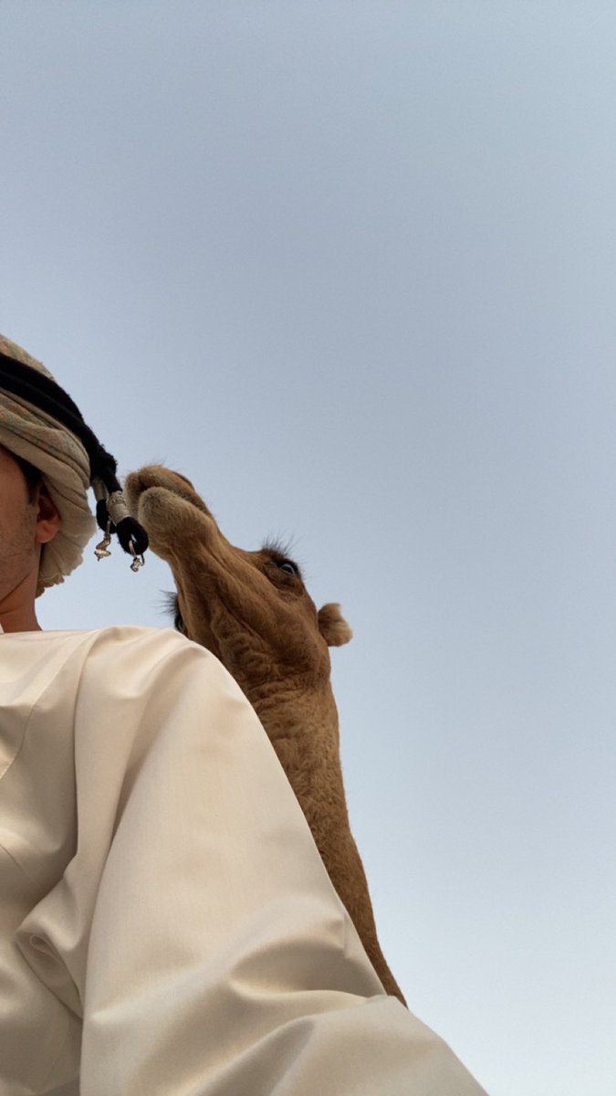 1yiyr's tweet photo. 🐪. https://t.co/ud0oTWnHB7