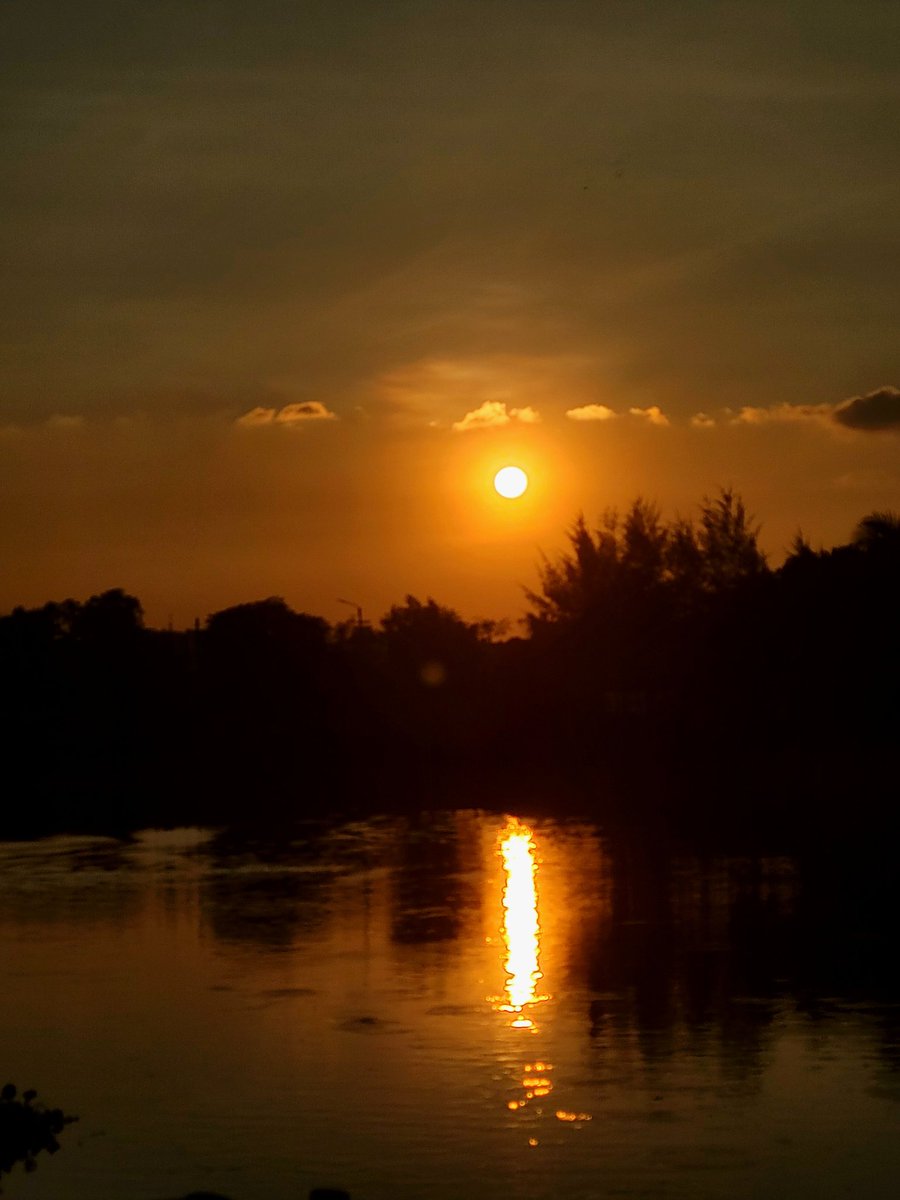 Proma Rahman tweet media