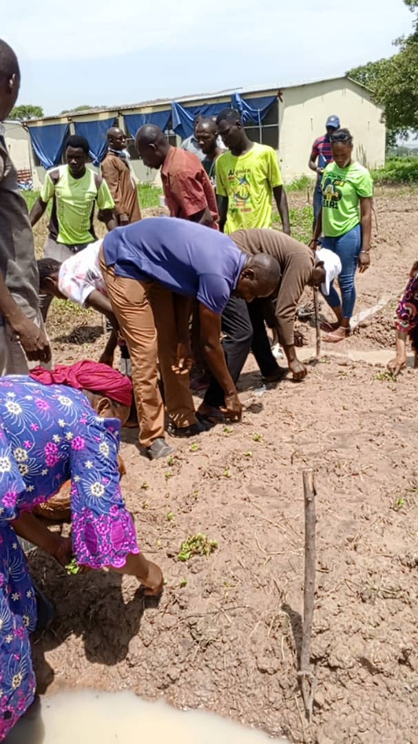 @IITA BBEST Project tweet media