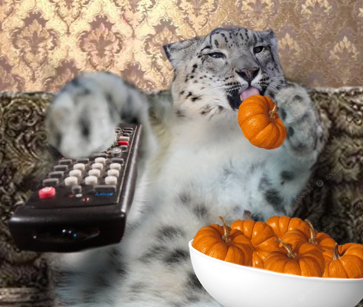 Average Sneps friday activity