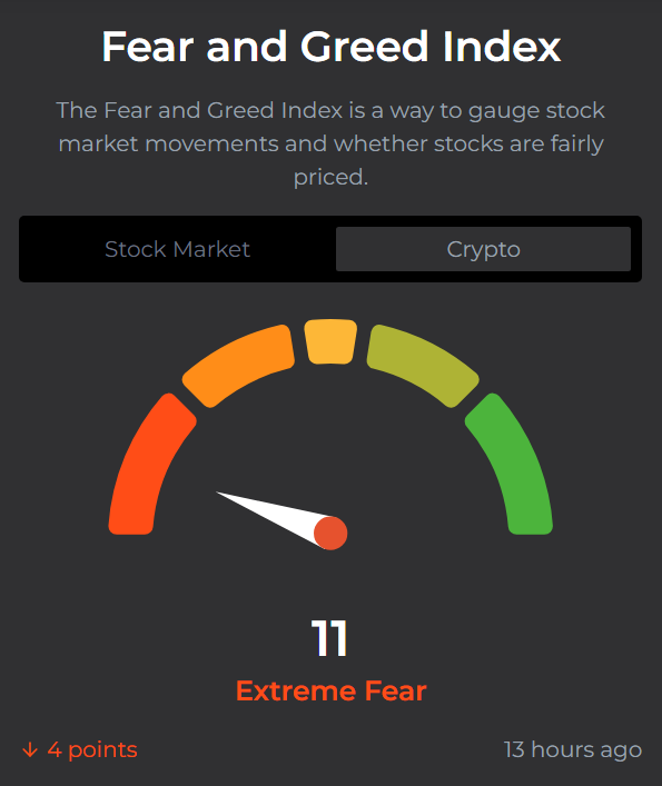 Xenia Melissa tweet media