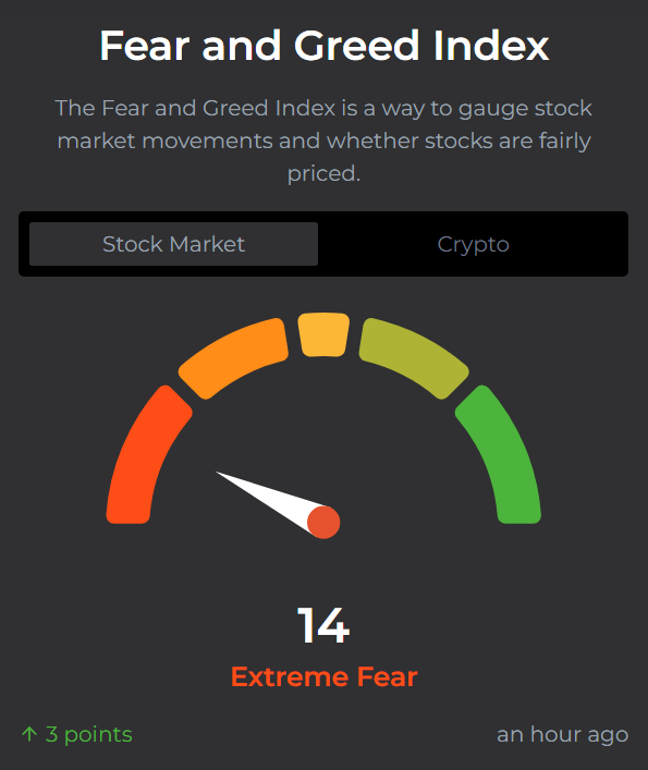 Xenia Melissa tweet media