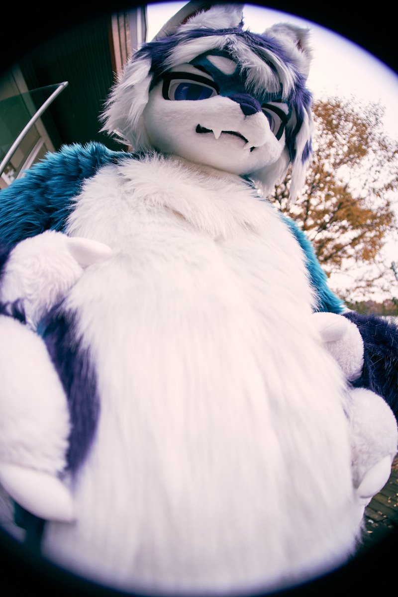 _FREIL's tweet image. 나 살이 쪘어... 

📷 @mano_4171

#FursuitFriday #Fursuit