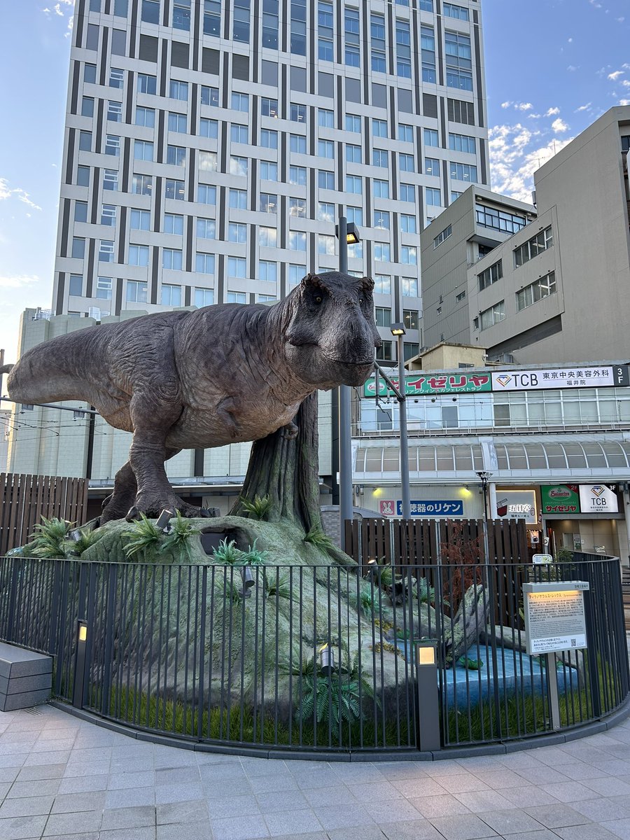 Coa_star's tweet image. 富山は、
アマルルガ？
マーイーカ？
なにがいい？

#ひみつばこ