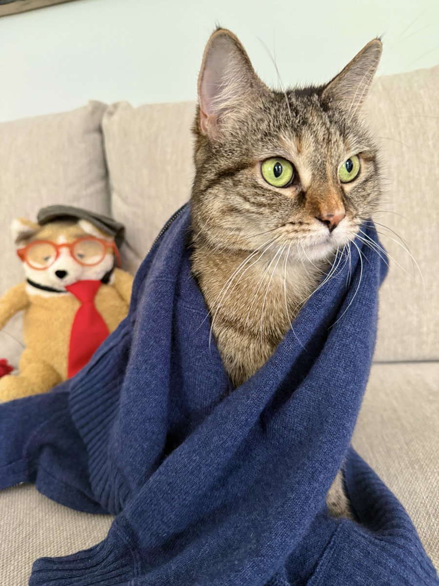 I’m making an audition tape for the remake of The French Lieutenant’s Tabby but I didn’t have many options for who would play the French Lieutenant. If I don’t get this part it’s his fault.