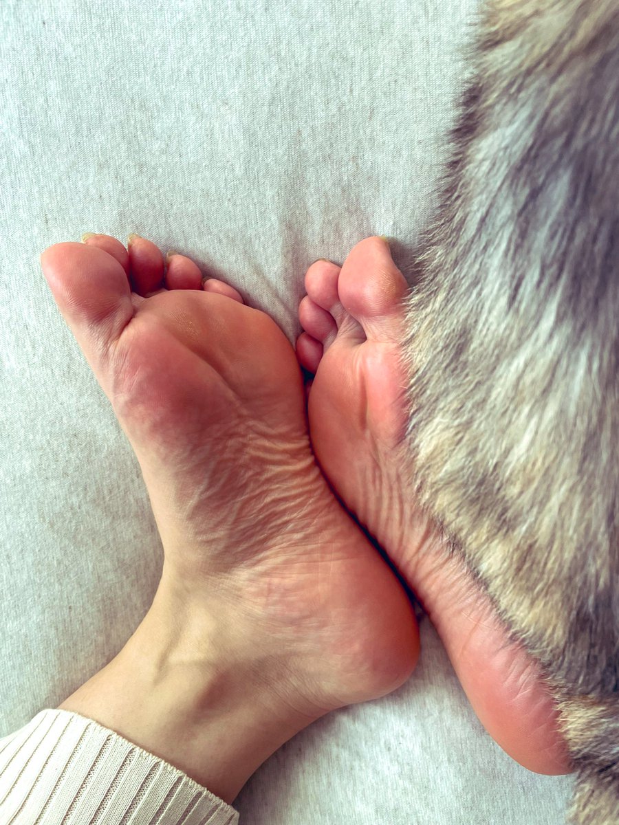 うみ　夏目20個 うみ 夏目20個 ずみるっくす on X: