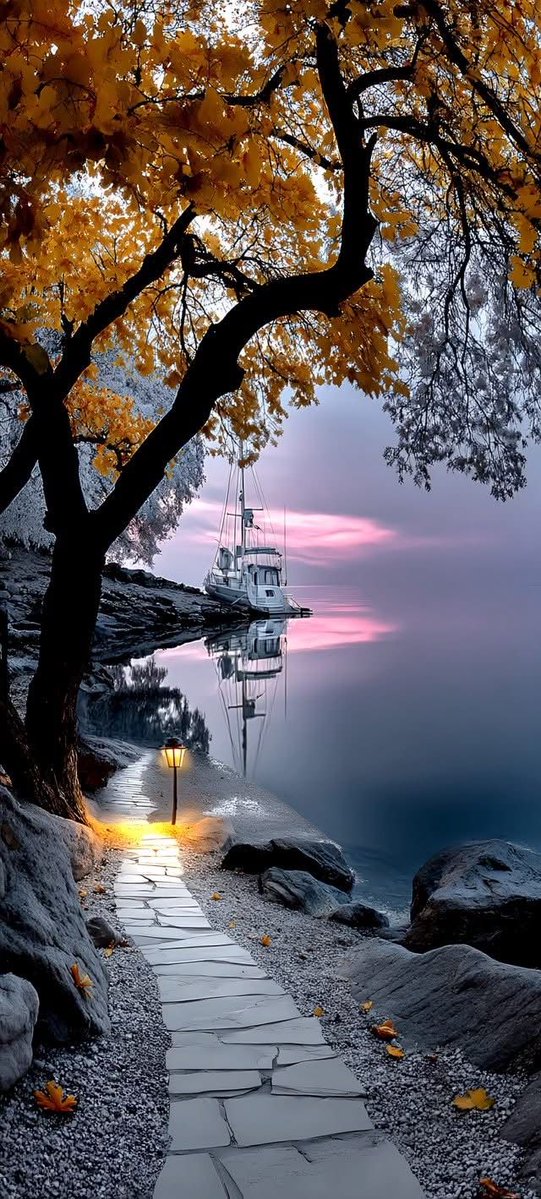 AliyanaRafique's tweet image. Every sunrise is a new beginning painted by nature.🍁✨🌄🕊️
@DvFati 
#nature 
#NaturePhotography 
#view 
#Peace 
#PeaceOfMind