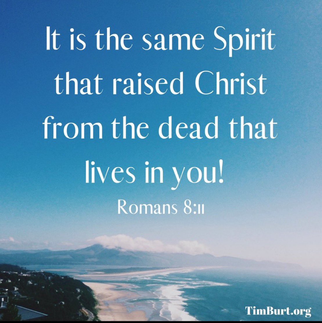 TimBurt's tweet image. 