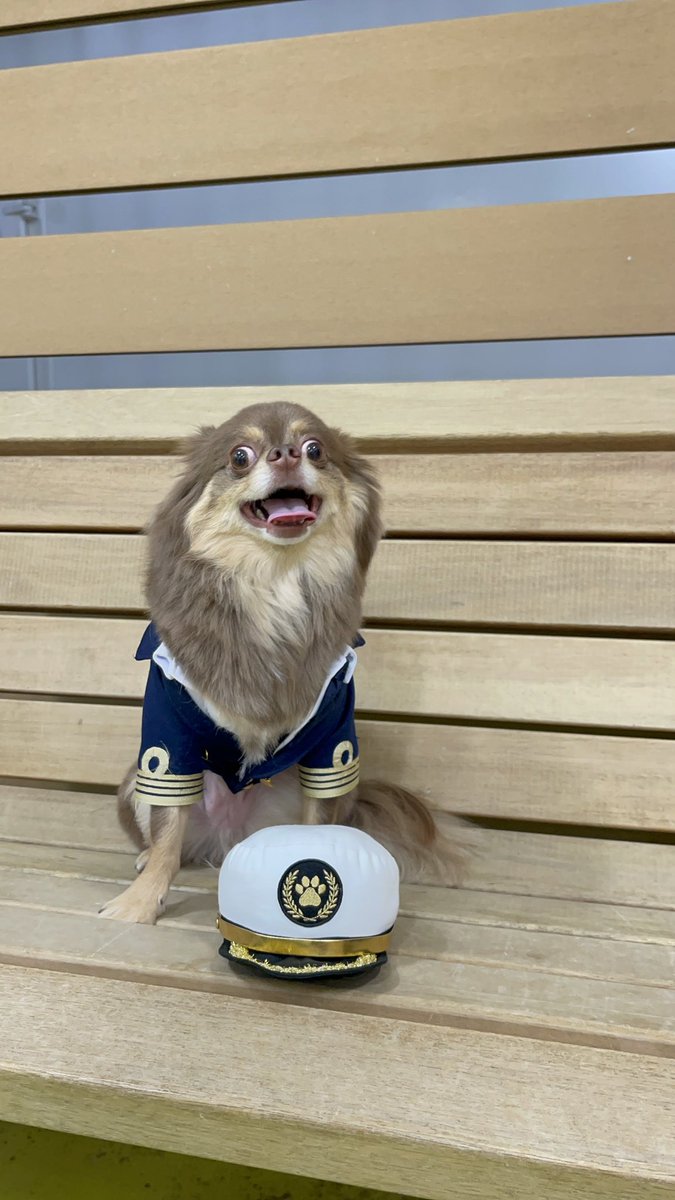 ぴょんぴょん 39f872644e9117c5b9bce82afdcad1