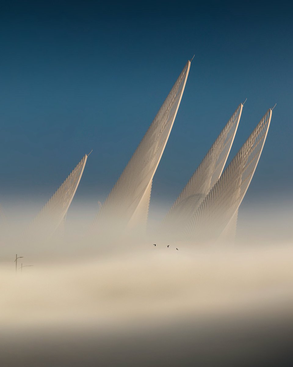 شموخ tweet media