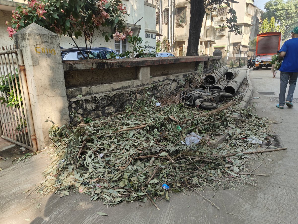 sawantsid45's tweet photo. @mybmc Green waste has been left unattended on the footpath outside Hoor Villa, Kadeshwari Mandir Marg, Bandra West–50 for several days. Requesting prompt removal as it is blocking the walkway and causing inconvenience to residents.
@RyanDMenezes https://t.co/DM5tguZxR8