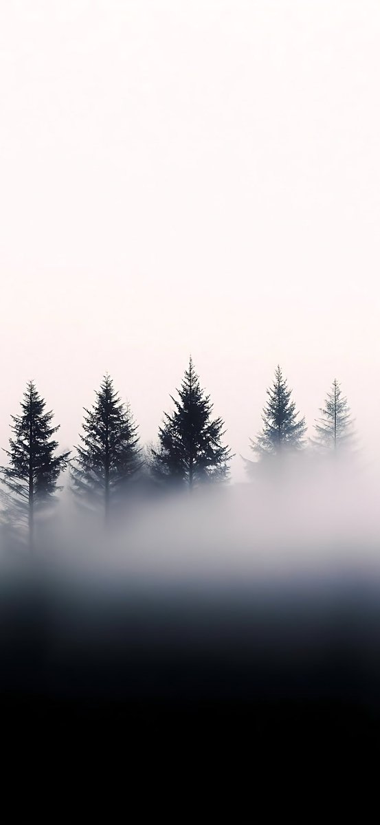 Omer Sahin (@opinigma) on Twitter photo 