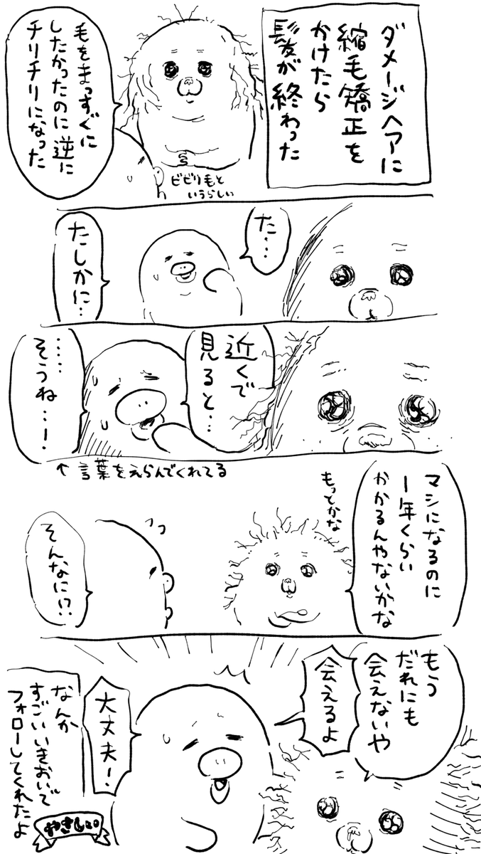 peroty6e's tweet image. 