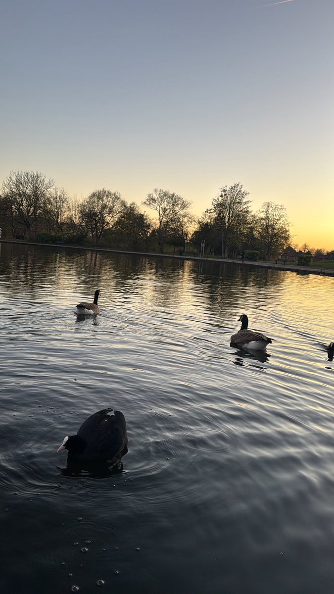 ii4eec's tweet image. السلام عليكم 
مساء الخير 
عشوائيات واثبات وجود