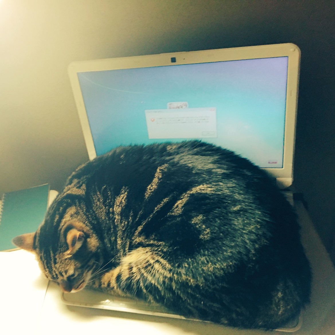 ark_ar5's tweet image. 月命日