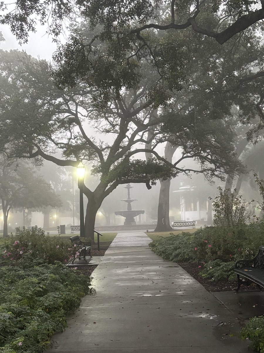 A foggy start to the day in downtown Mobile. ⁦<a href="/spann/">James Spann</a>⁩ ⁦<a href="/NWSMobile/">NWS Mobile</a>⁩