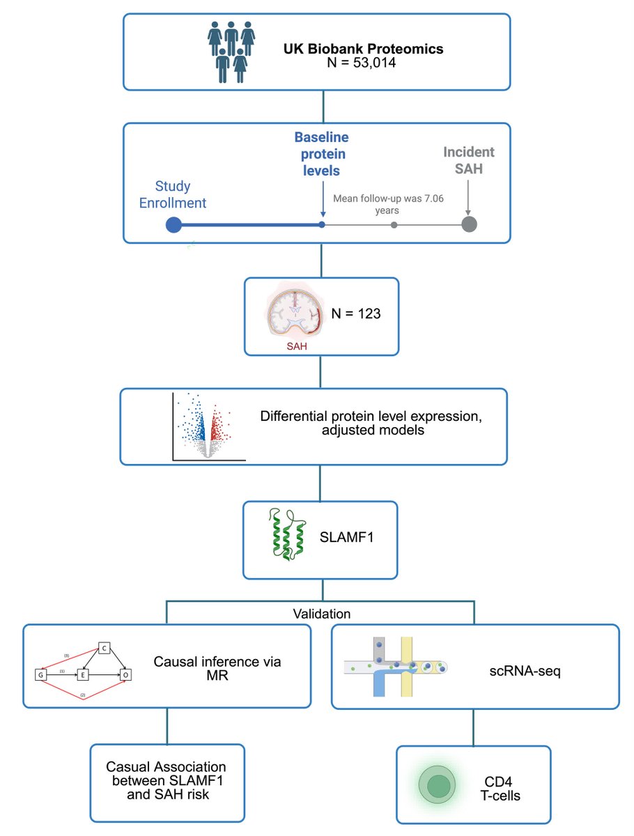 Stroke AHA/ASA tweet media