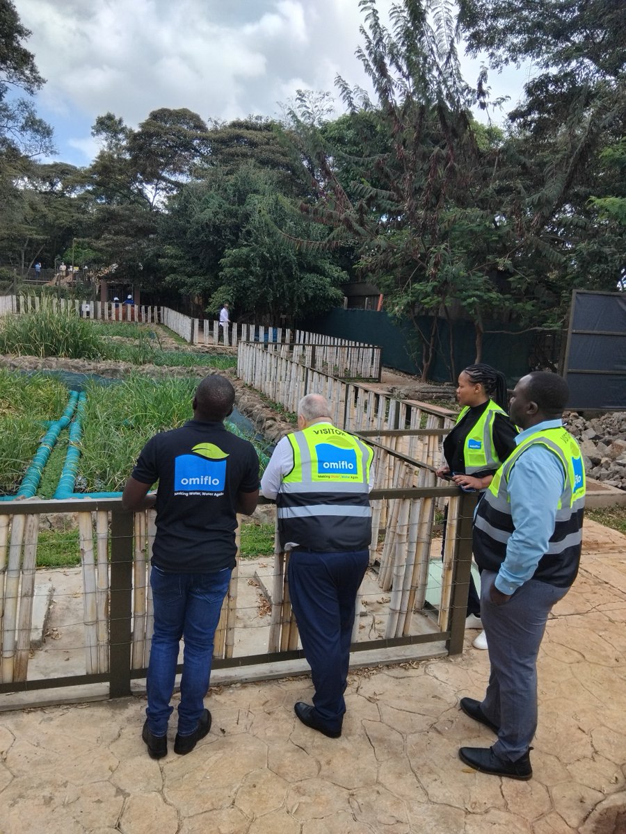 OmifloAfrica's tweet image. We love hosting visitors to see our nature-based systems in action. 🌿💧
Reserve your tour now via DM or at info@omiflo.com
#Omiflo #NatureBasedSolutions #SustainableSanitation #WastewaterTreatment #WASH #EcoInnovation  #CircularWater #InnovationInAction #GreenTechnology
