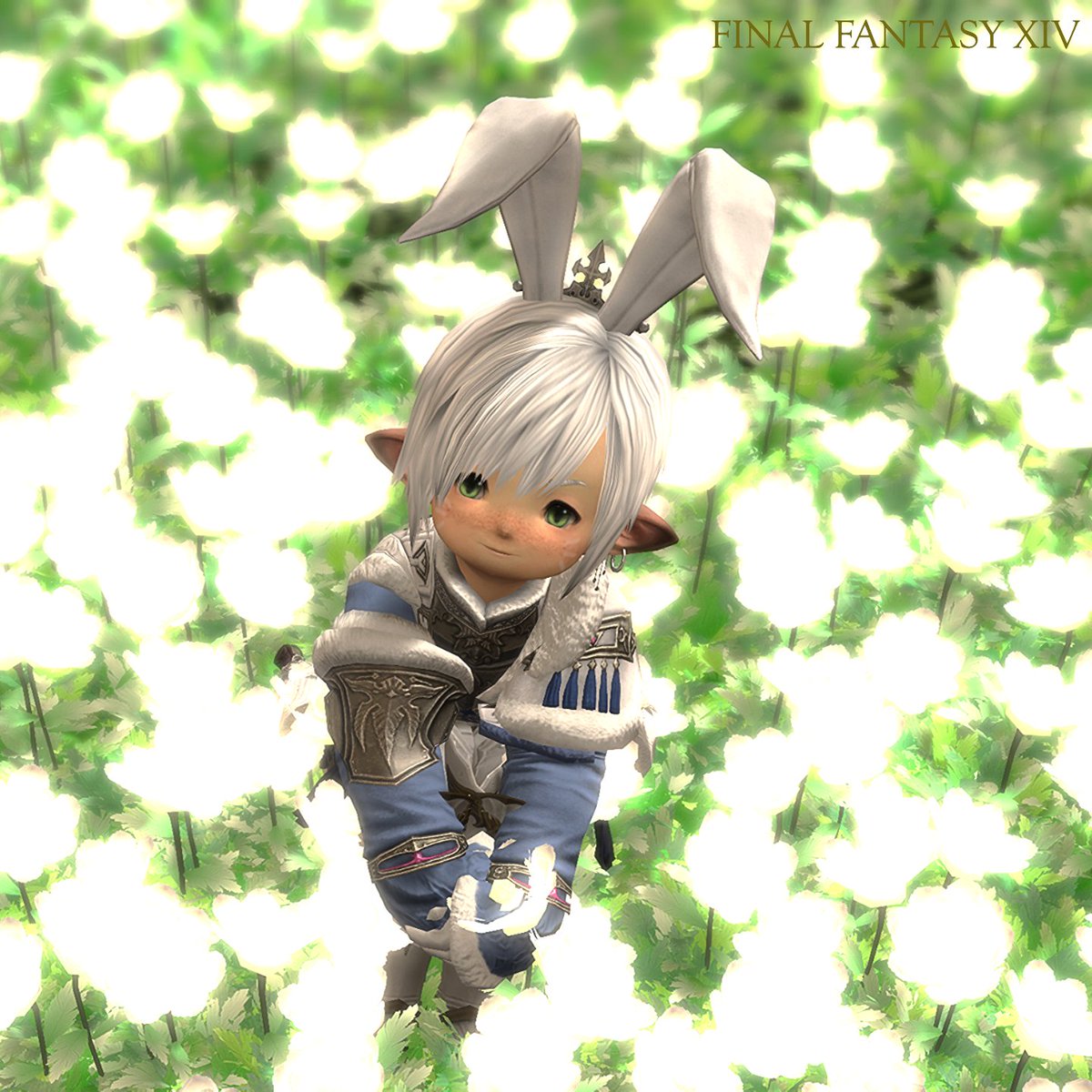 Blackm92573565's tweet image. 差分
いい表情の子うさおだぁ(*´ω｀*)