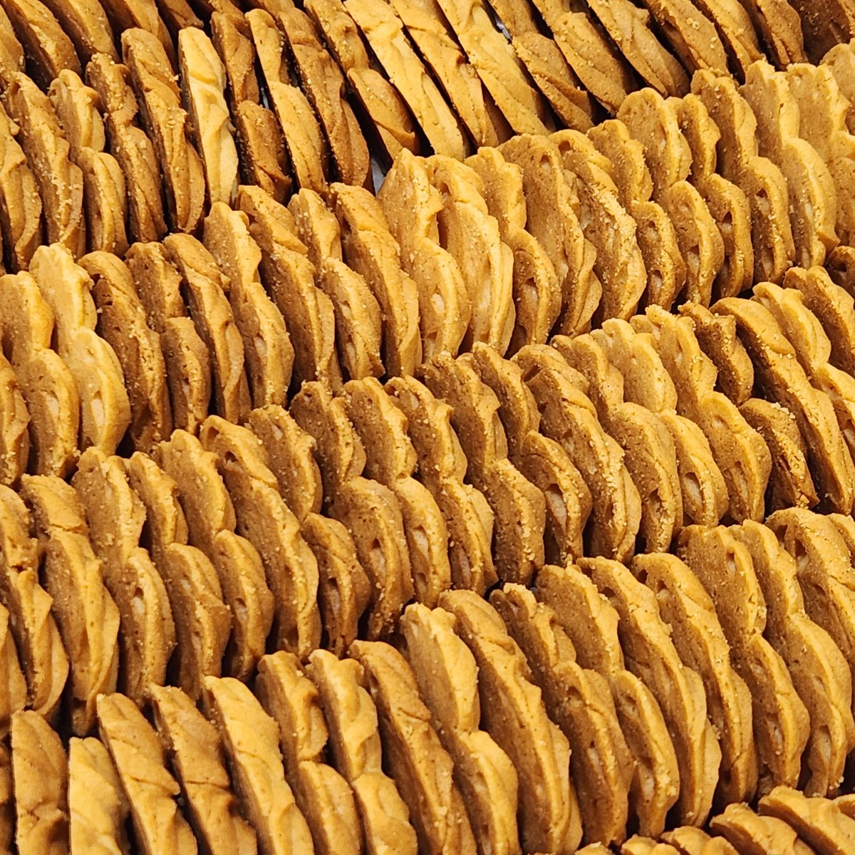 [RT+팔로우]한 분께 랜덤박스 보내드립니다(인증샷필수📸)   

alongtimea90.mysoho.com/product/255853

주문기간[21일12시~23일15시까지]
출고일[11월27일]

❤️‍🔥플로랑탱 🍫소금초코 수량3배!
🌿제주말차 수량2배!

전체적으로 쿠키 수량을 늘렸습니다!
크리스마스 쿠키 전 마지막 상시판매입니다.
잘 부탁드립니다🎅