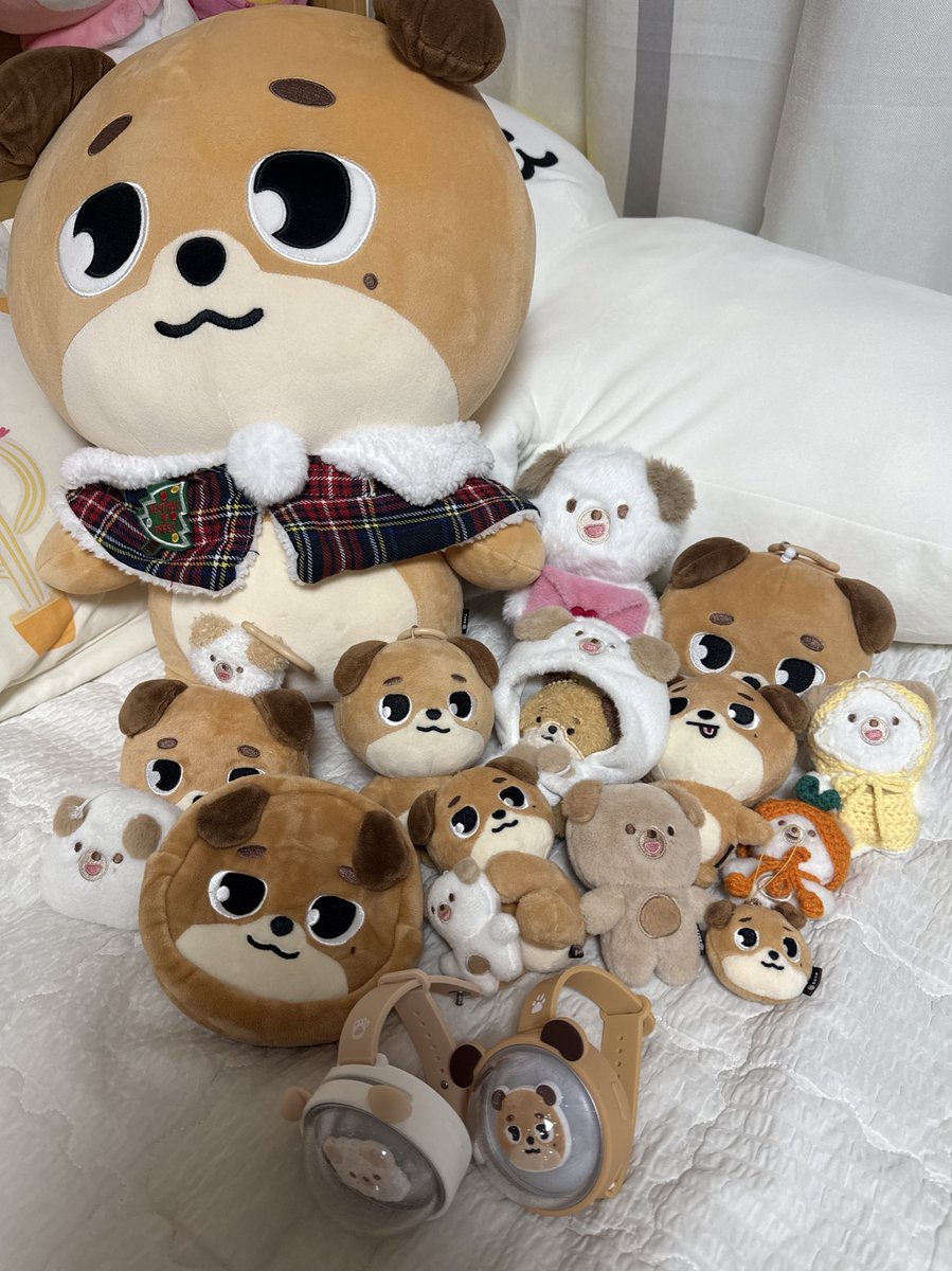 와글와글 돈이네 식구들 🐶🐶