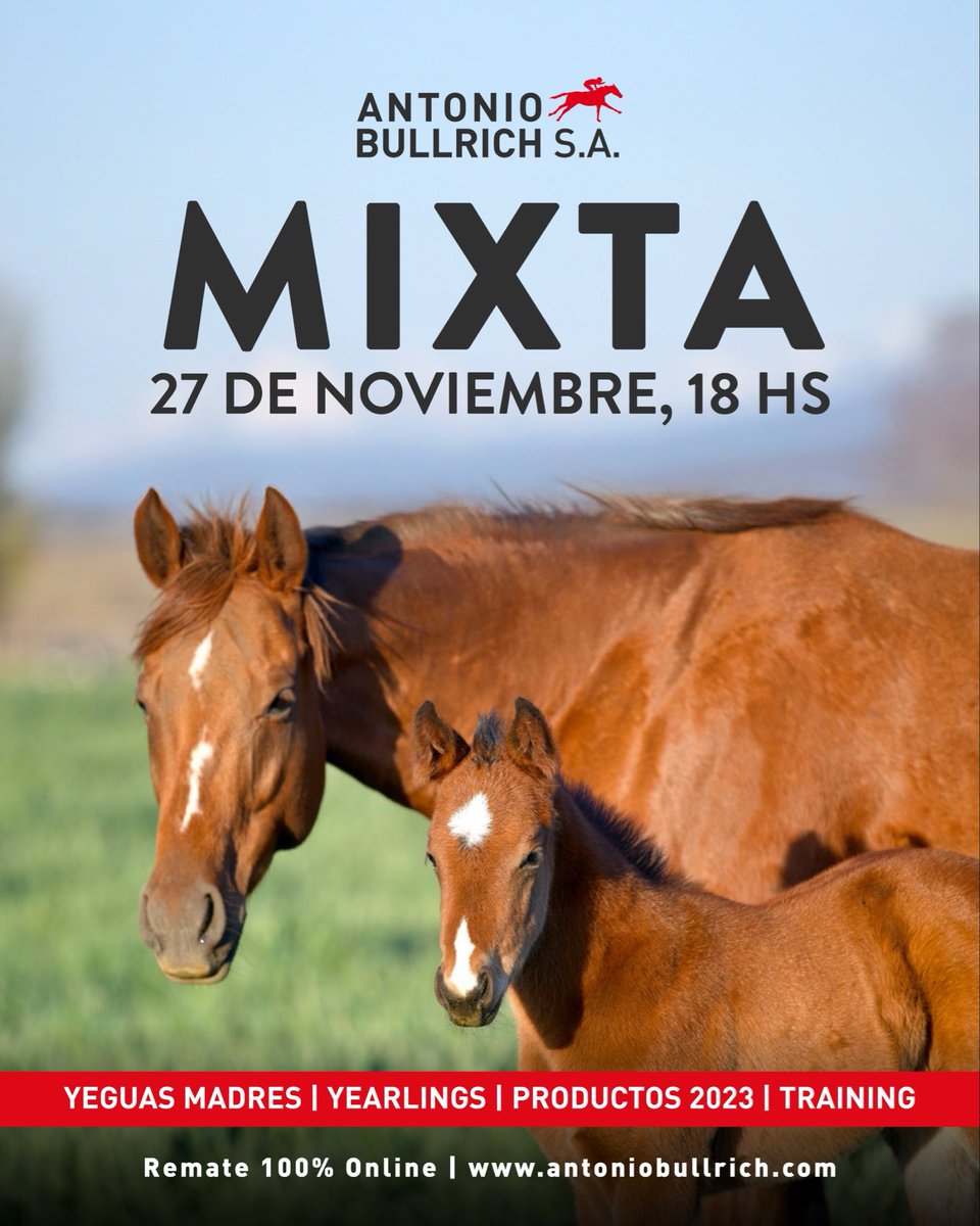 Mixta Noviembre

📆 Jueves 27 de Noviembre, 18H 

Remate 100% Online | antoniobullrich.com

Yeguas Madres, Training, Yearlings y Productos 2023

#horse #caballo #caballos #caballosdecarreras #sangrepuradecarrera #spc #remate