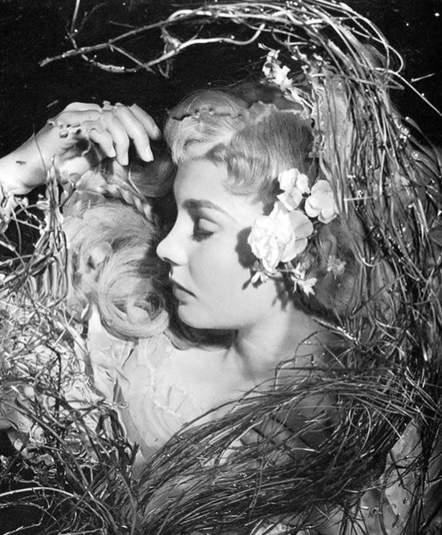 Natanael tweet media