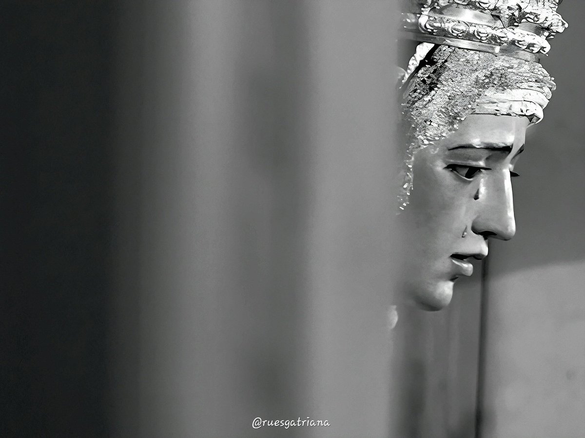 En tu Amargura. 
<a href="/Hdad_Amargura/">Hermandad de la Amargura</a>